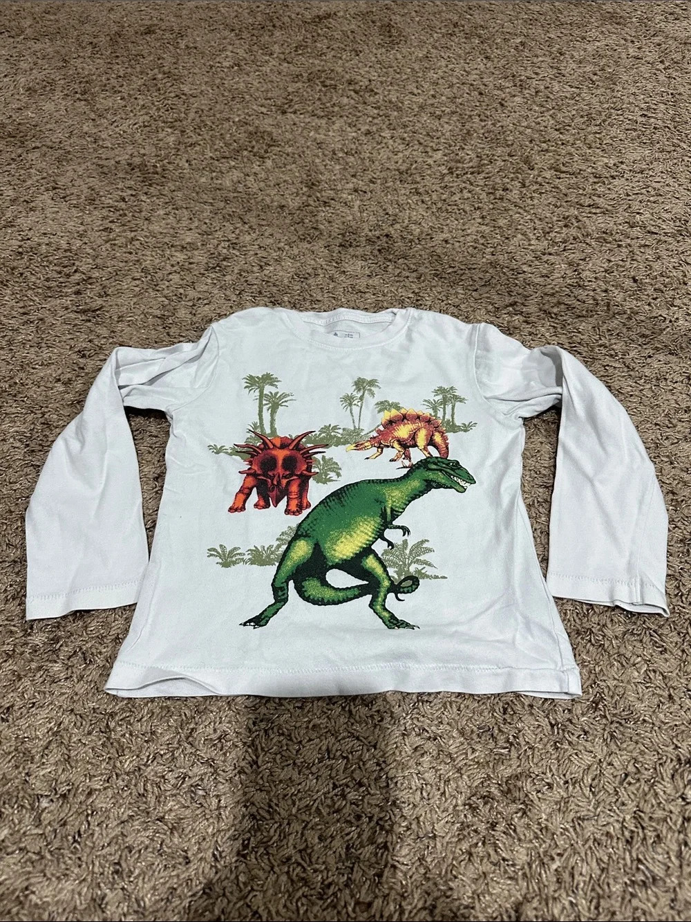 Boys long sleeve top